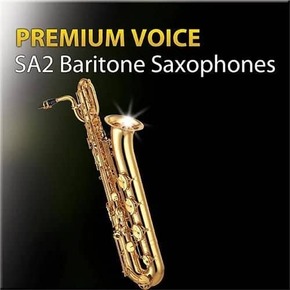超清晰音色2代 上低音薩克斯